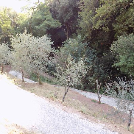 הוילה קמאיורה Fattoria Ceragioli מראה חיצוני תמונה