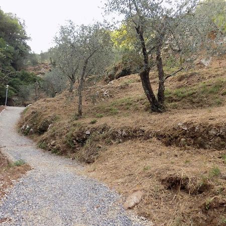 הוילה קמאיורה Fattoria Ceragioli מראה חיצוני תמונה