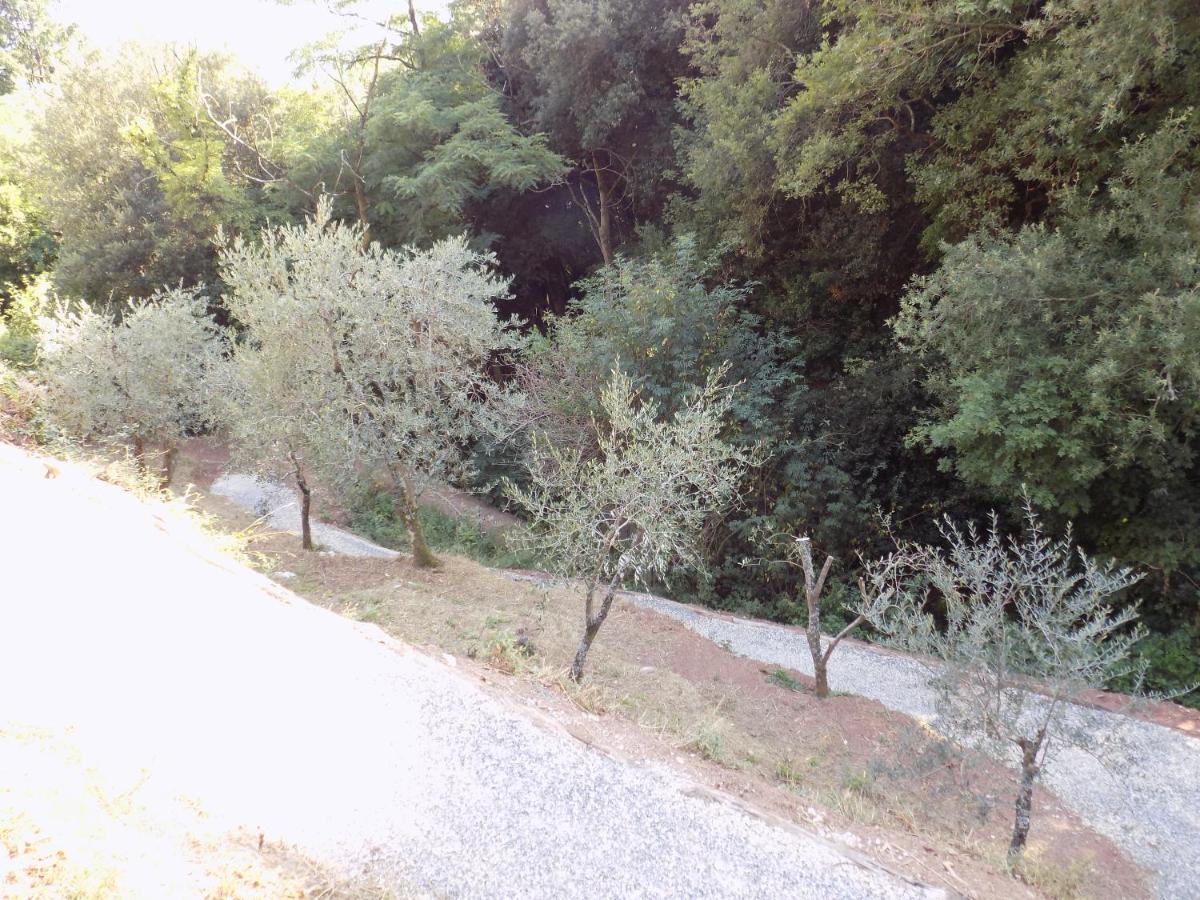 הוילה קמאיורה Fattoria Ceragioli מראה חיצוני תמונה