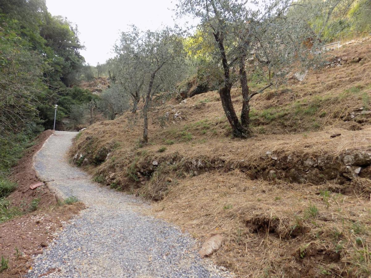 הוילה קמאיורה Fattoria Ceragioli מראה חיצוני תמונה
