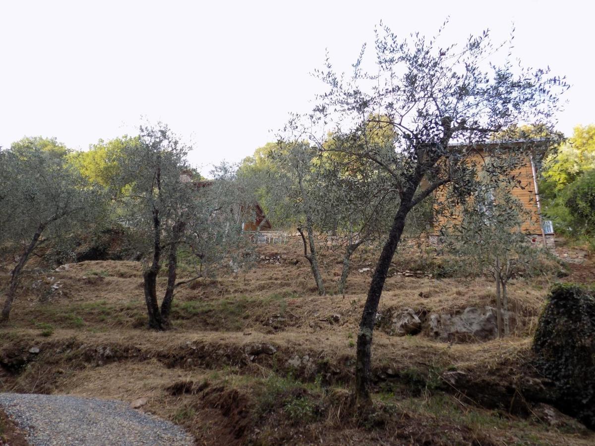 הוילה קמאיורה Fattoria Ceragioli מראה חיצוני תמונה